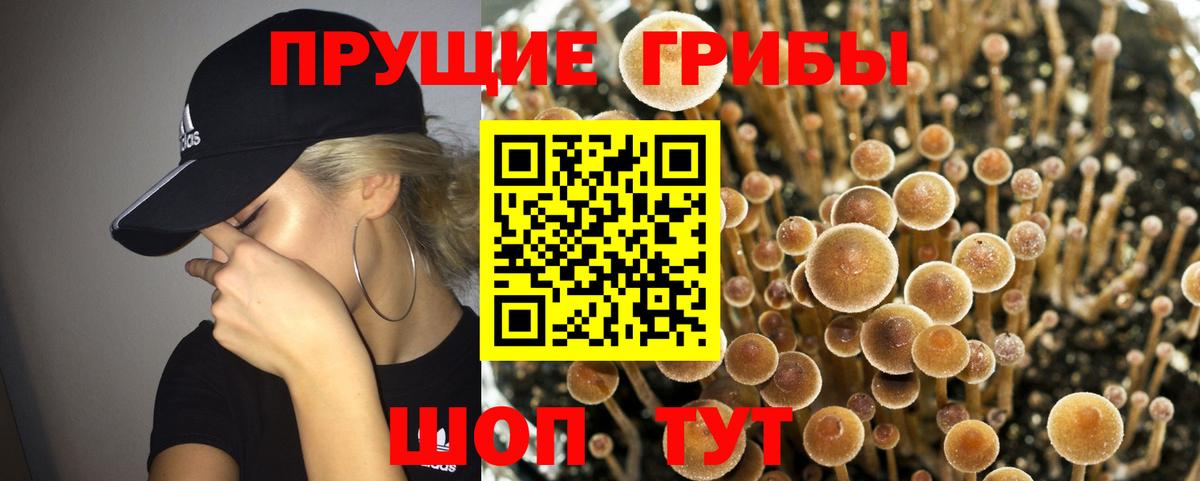 Галлюциногенные грибы Magic Shrooms  Вход с VPN  Галлюциногенные грибы GOLDEN TEACHER  Егорьевск 